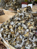 Dried Fish ETA 4/15/26